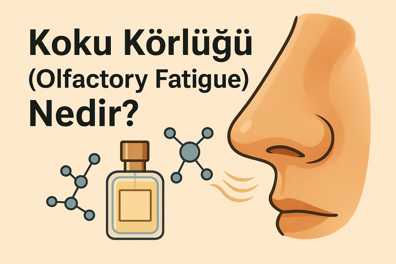 Koku Körlüğü (Olfactory Fatigue) Nedir? Parfüm Algınızı Nasıl Tazeleyebilirsiniz?