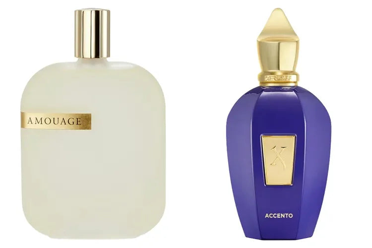 Amouage Opus V vs Xerjoff Accento: Hangi Niş Koku Sizin Karakteriniz?