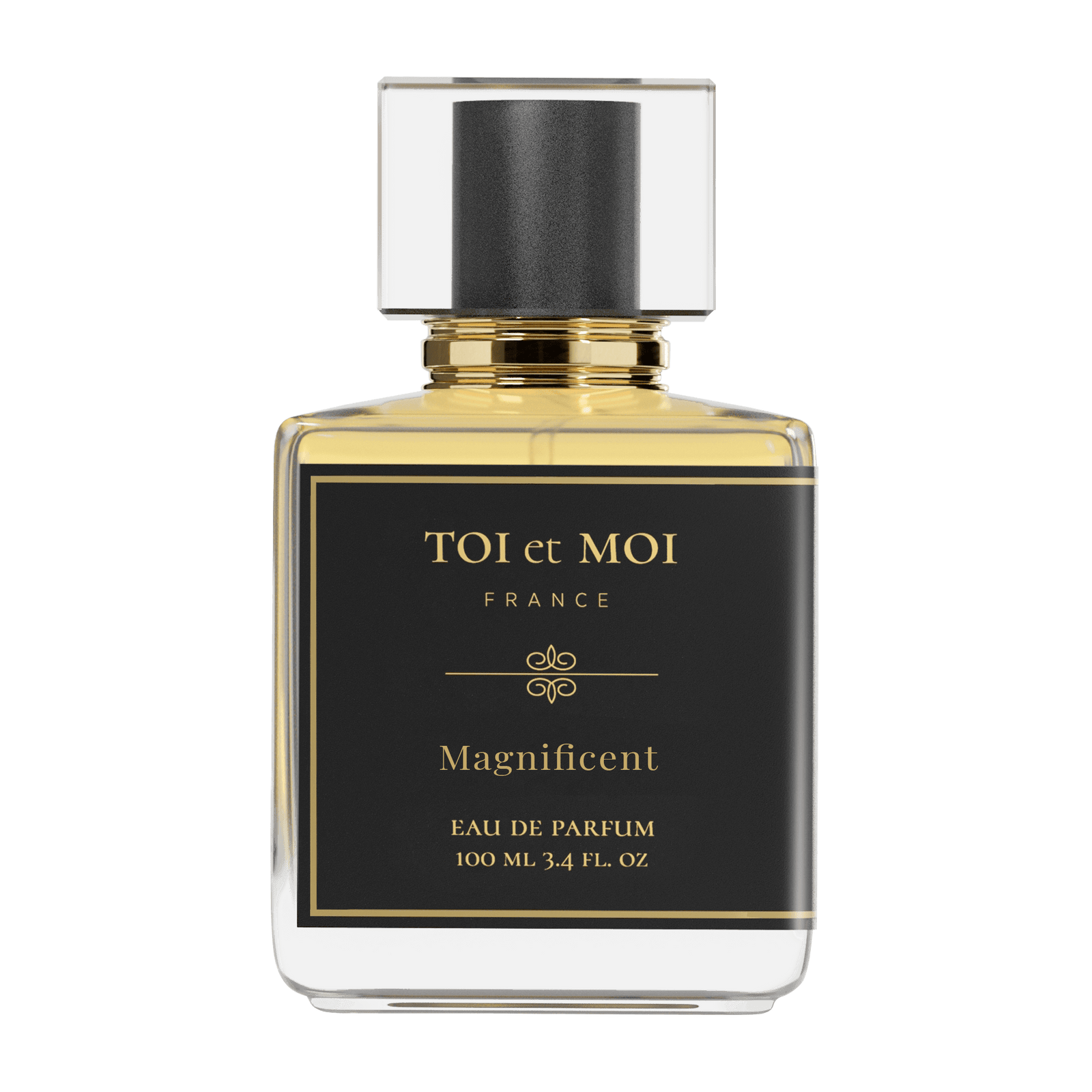 Magnificent EDP 100 ML Unisex Parfüm