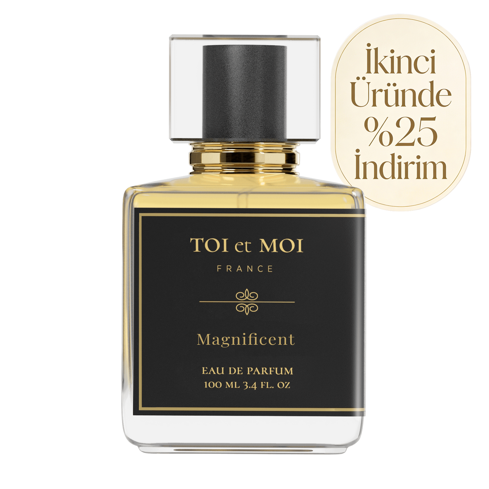 Magnificent EDP 100 ML Unisex Parfüm